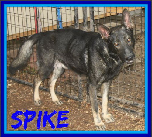 SPIKE