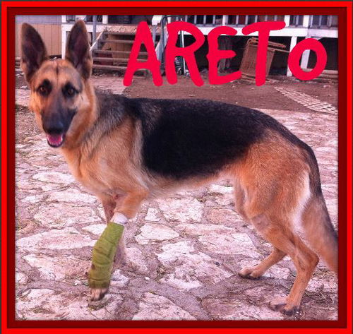 ARETO