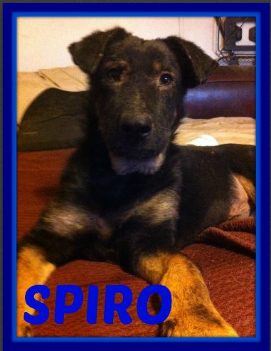 SPIRO