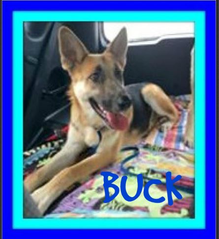 BUCK