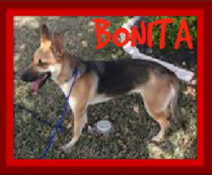 BONITA