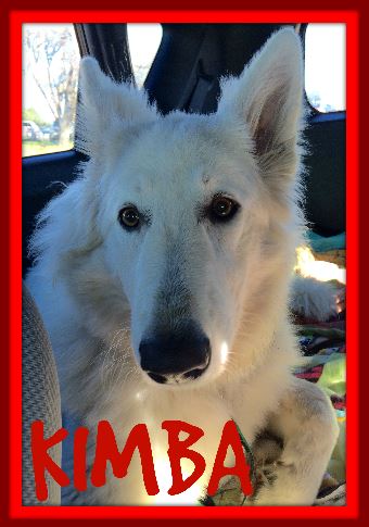 KIMBA