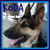 KODA