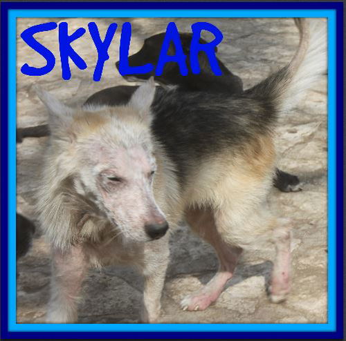 SKYLAR