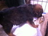 BENSON