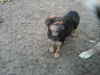 BENSON