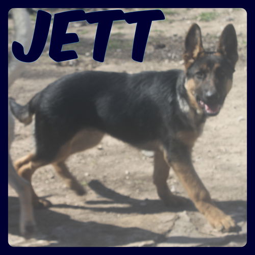 JETT