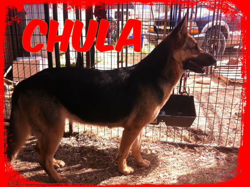 CHULA