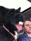 SCOTTIE
