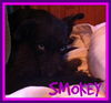 SMOKEY