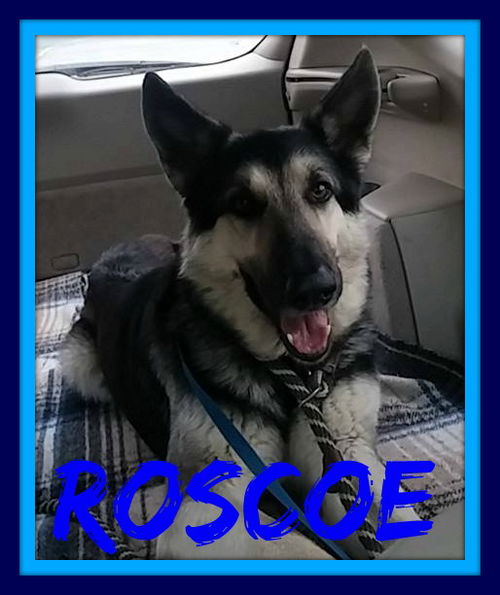 ROSCOE