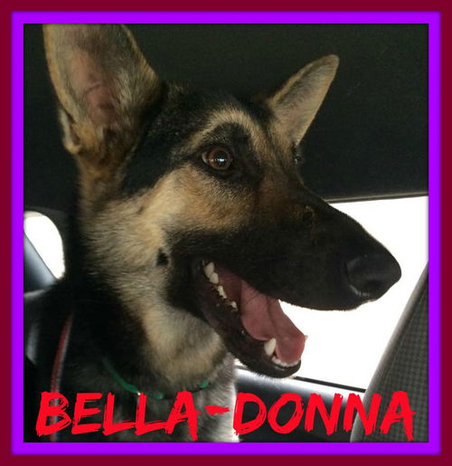 BELLA-DONNA