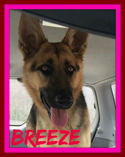 BREEZE