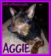 AGGIE