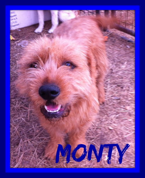 MONTY