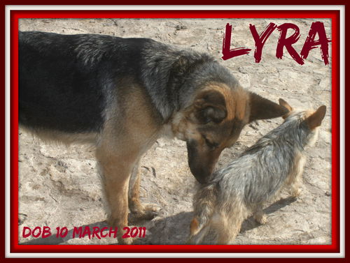 LYRA