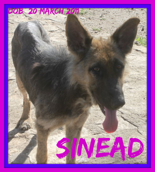 SINEAD