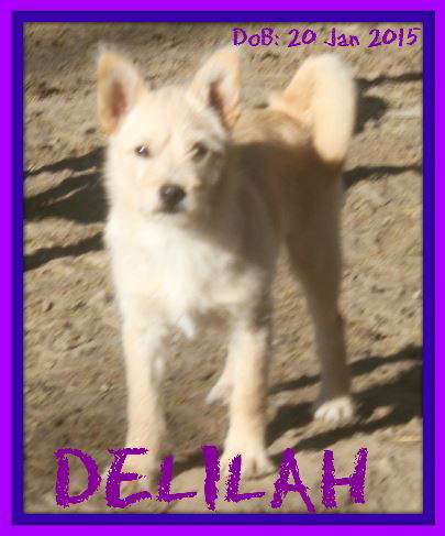 DELILAH