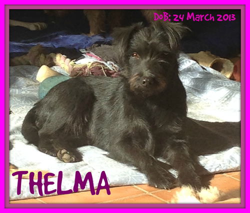 THELMA