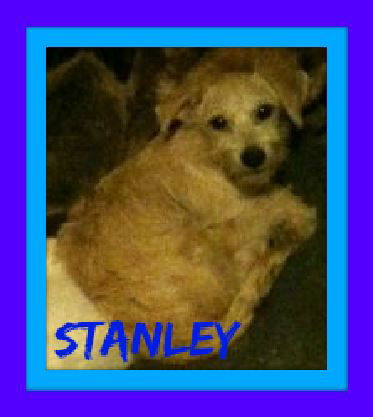STANLEY
