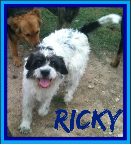 RICKY