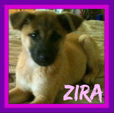 ZIRA