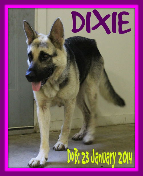 DIXIE