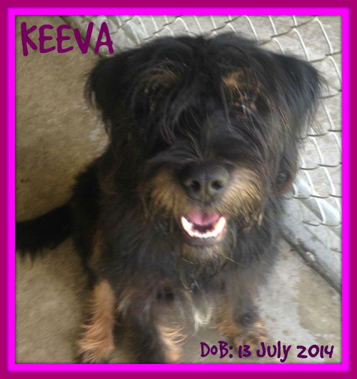 KEEVA