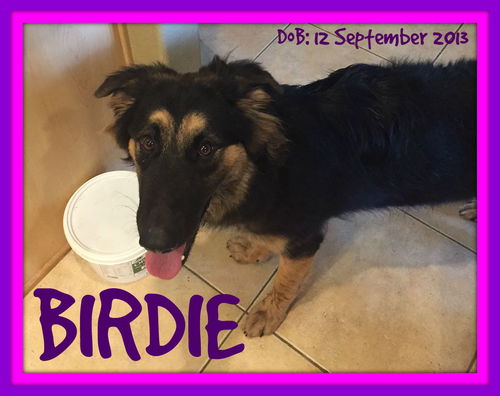 BIRDIE
