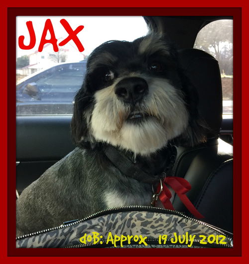 JAX