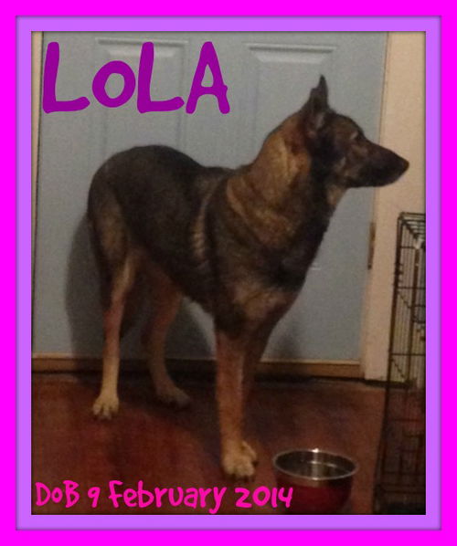 LOLA