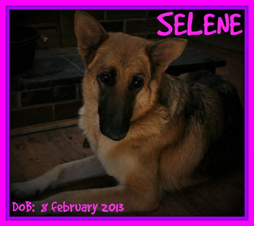 SELENE