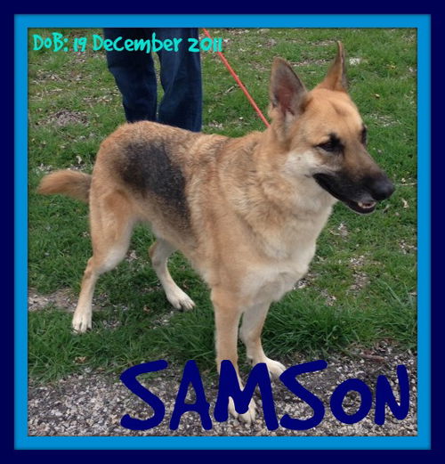 SAMSON