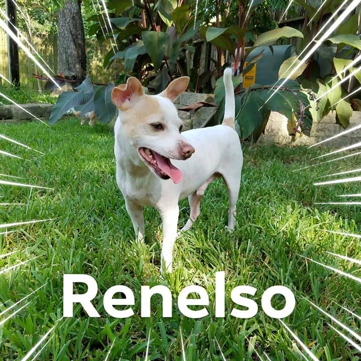 Renelso