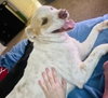 Murdock - Photo 2