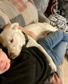 Murdock - Photo 3