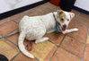 Murdock - Photo 4