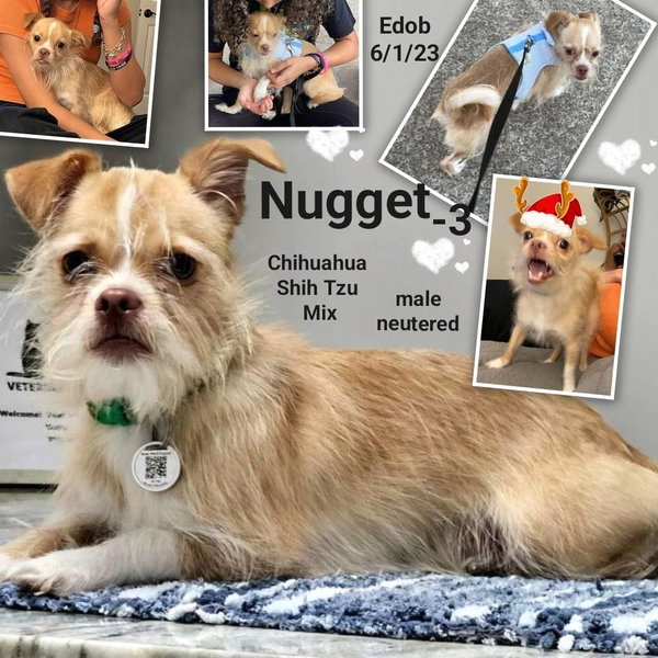 Nugget-3