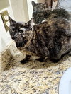 BeeBee - Photo 2