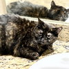 BeeBee - Photo 3