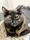 BeeBee - Photo 1