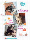 Chetana - Photo 4