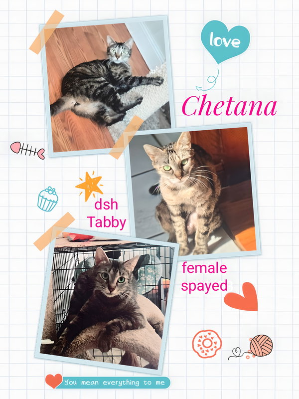 Chetana