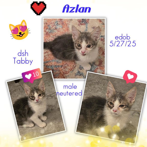Azlan