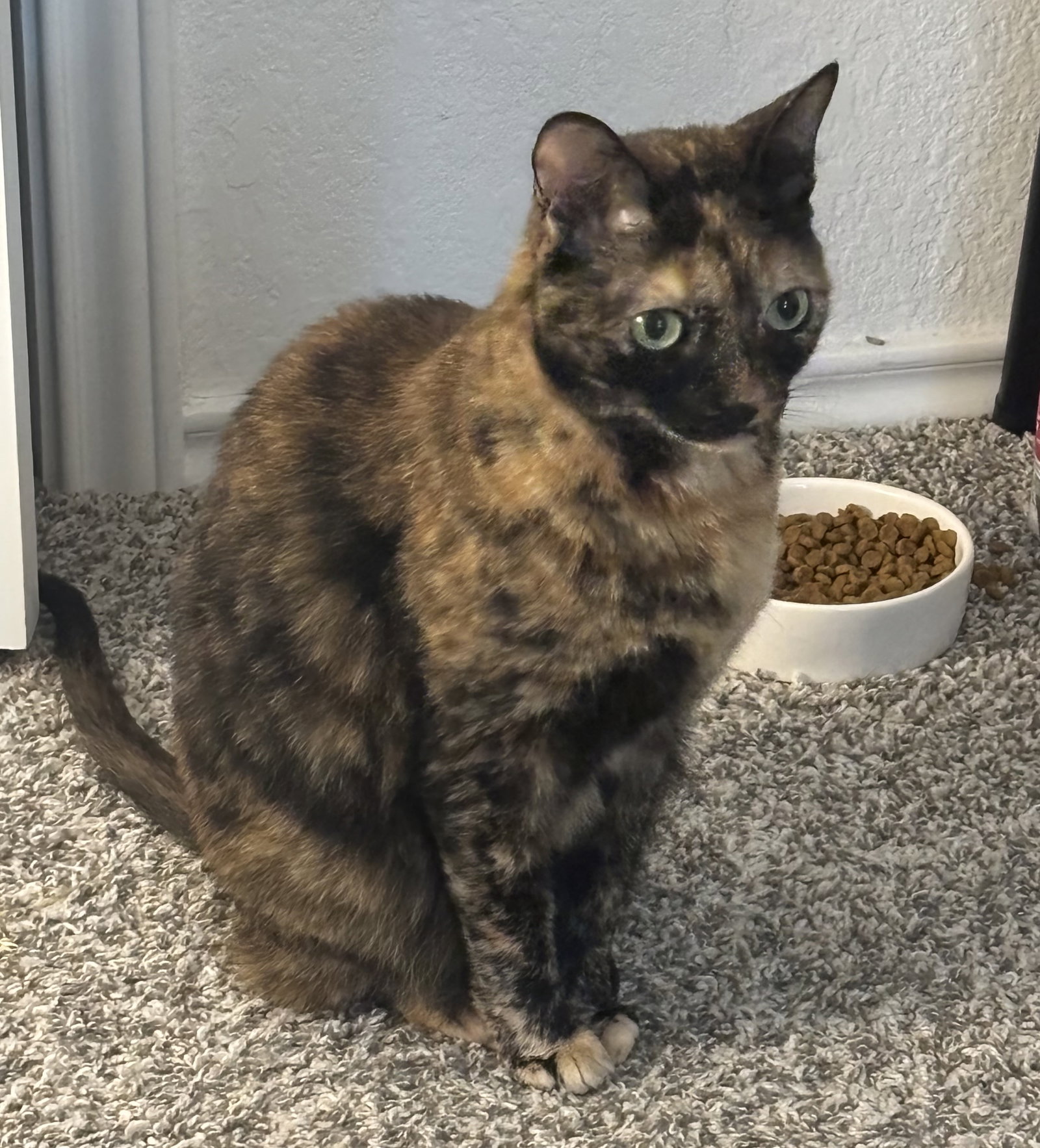 Molly-Sue Image