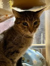 Daleyza - Photo 4