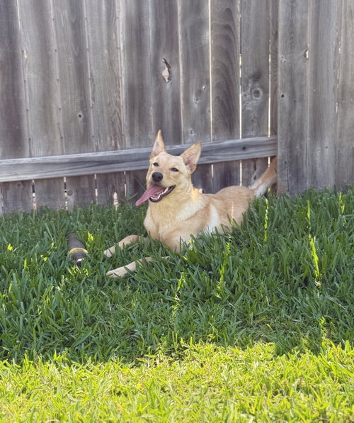 Geanna photo 2