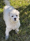 Lulana - Photo 3
