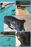 Jax