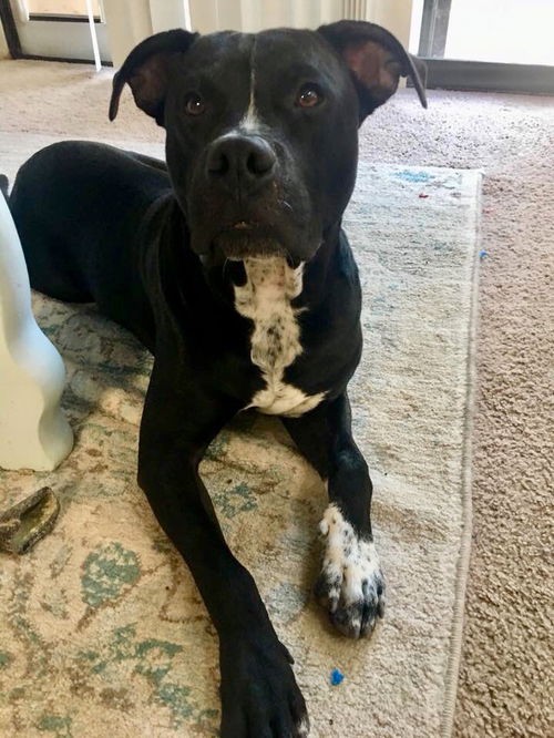 Jax